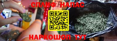 Альфа ПВП Будённовск