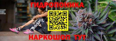 Альфа ПВП Будённовск