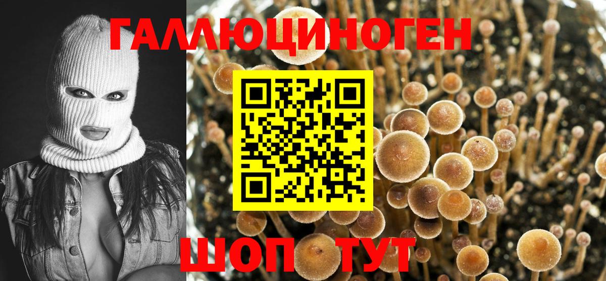 Серов  Псилоцибиновые грибы Psilocybine cubensis  Псилоцибиновые грибы мицелий  купить  цена  Вход с VPN 