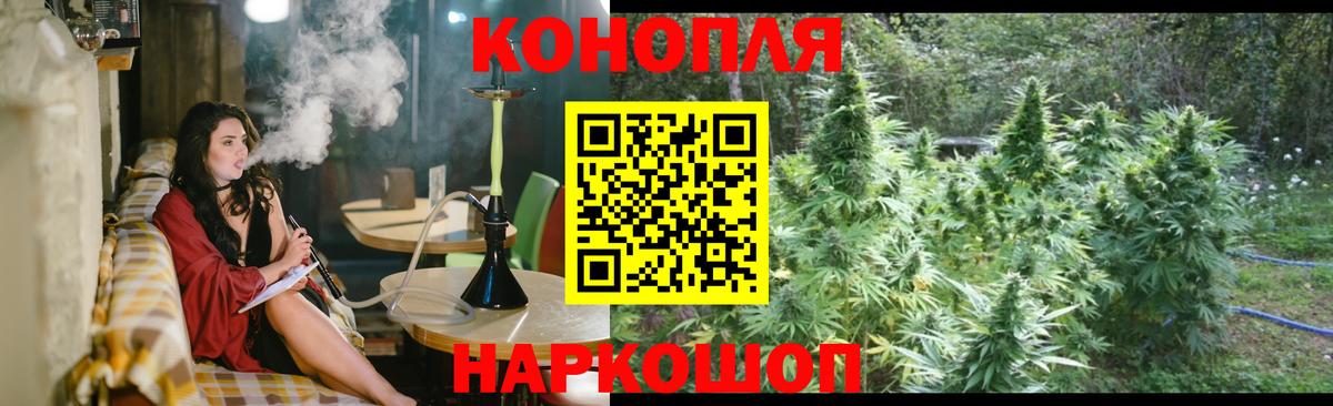 Каннабис конопля  Вход с VPN  Серов  Шишки марихуана планчик  Канабис сатива 